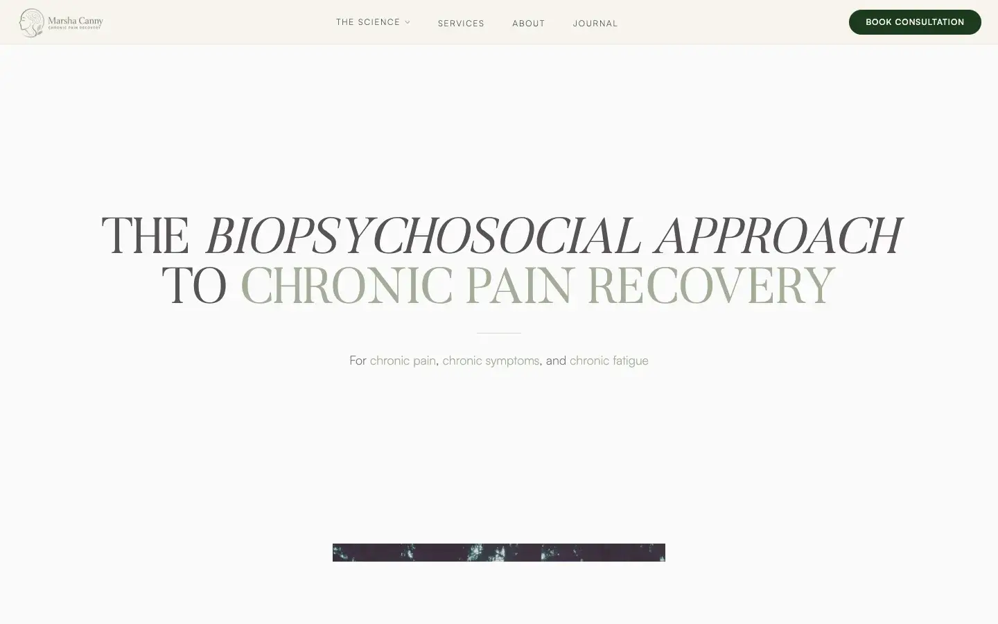Chronic Pain Recovery homepage with an orange consultation link, pain-science introduction and practitioner portrait.
